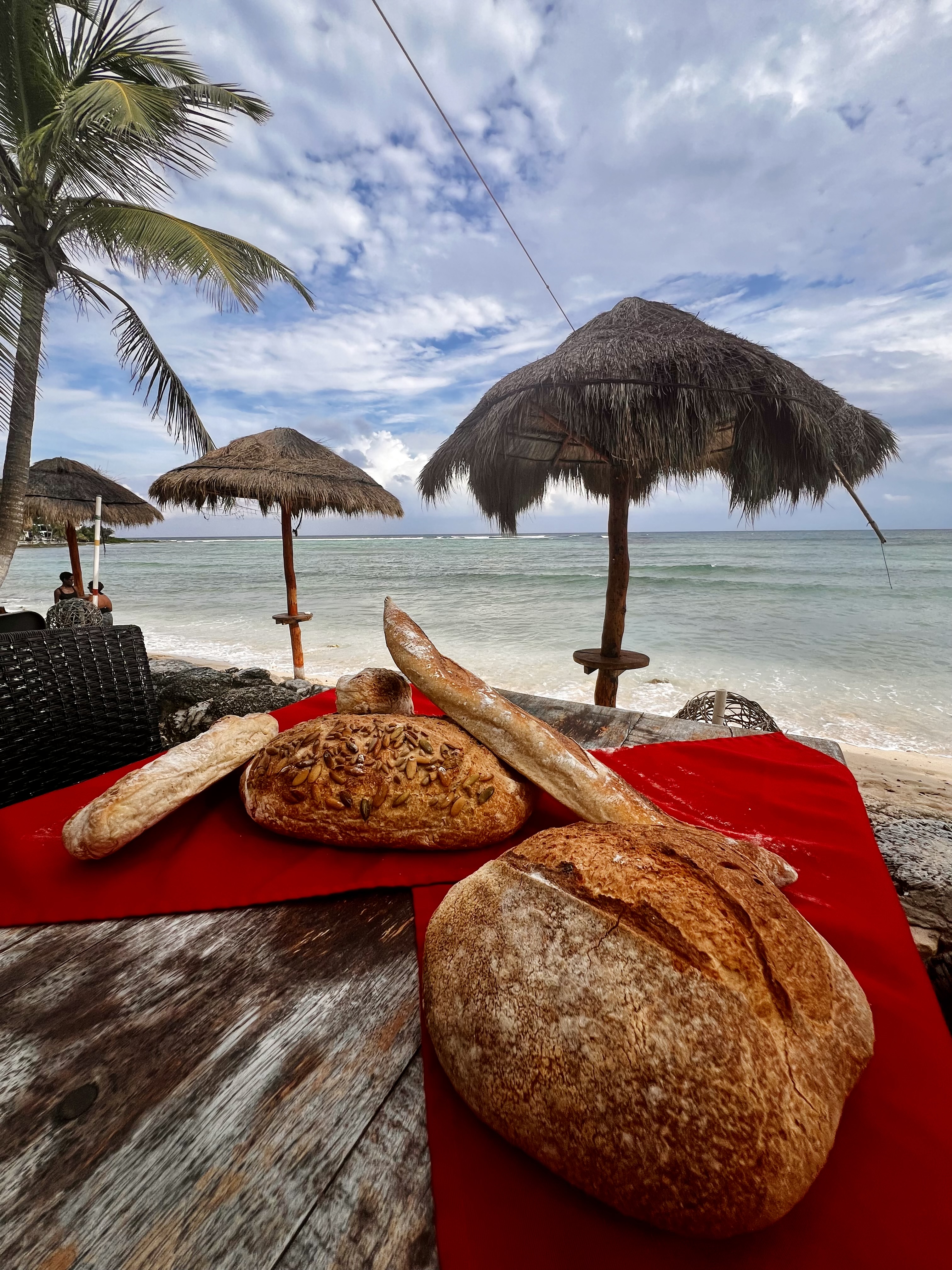 2025 Eating Guide Best Restaurants in Akumal Akumal Direct